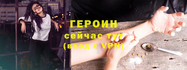 индика Вязьма