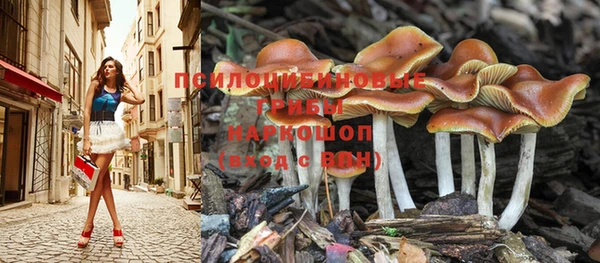 ПСИЛОЦИБИНОВЫЕ ГРИБЫ Алексин