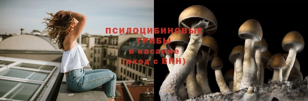 COCAINE Абаза