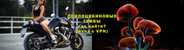 СК Абинск