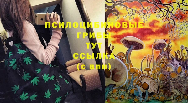spice Алзамай