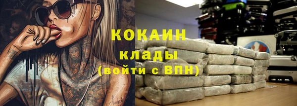 spice Алзамай