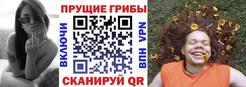 Галлюциногенные грибы GOLDEN TEACHER  shop клад  Венёв  где продают  
